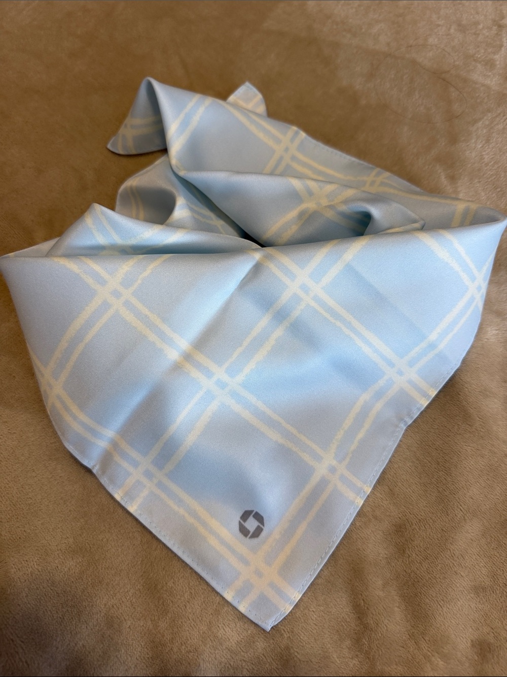 Land’s End Light Blue Plaid scarf